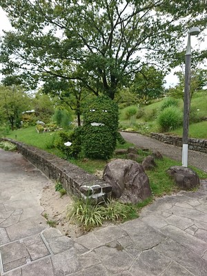 IMG_20170826_125103.jpg