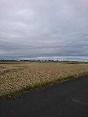 IMG_20171007_160622.jpg